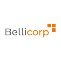 Bellicorp SAS logo - Similar company to Databank Mks Sas
