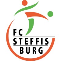 FC Steffisburg 1952 logo - Similar company to Simplex Ag Bern