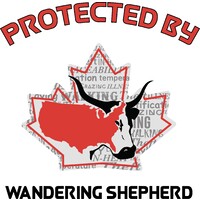 Wandering Shepherd logo - Similar company to Pia Project