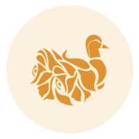 Duck & Rose