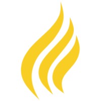 Suryarise Healthcare Pvt. Ltd logo - Similar company to Divizz Group