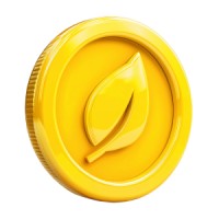 Rainforest logo - Similar company to Plaee
