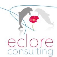eclore consulting logo - Similar company to Cometec