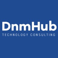 DnmHub logo - Similar company to Dinamo It