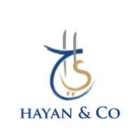 Hayan Group logo - Similar company to Group Bdc