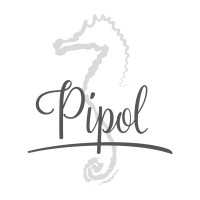 PIPOL Support - Advies & Projectbegeleiding logo - Similar company to Pippol