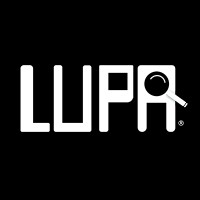 Lupa Agência Web