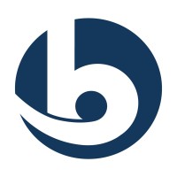 Gruppo Brandini logo - Similar company to Tm Wagen