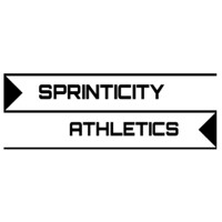 Sprinticity Llc