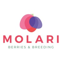 Molari Società Agricola logo - Similar company to G-Berries