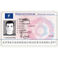 Permis De Conduire logo - Similar company to 🟢🟢🟢 Bslg