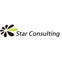 StarConsulting Consultoria e Treinamento logo - Similar company to Starconsulting