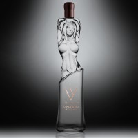 VAVOOM VODKA || BE BEAUTIFUL BE YOU logo - Similar company to Bleu Vodka
