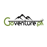 Goventure.pk logo - Similar company to Dexteam