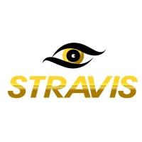 Stravis logo - Similar company to Stravis Consulting, Inc.