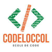 CodeLoccol logo - Similar company to Ninetec