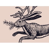Carmagnola on 3rd logo - Similar company to Jackelope Spirits