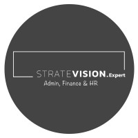 StrateVision.expert logo - Similar company to Clear Sky Selection