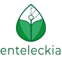 Enteleckia logo - Similar company to Redcoliving.Es