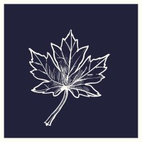 Canadian Centre for African Affairs and Policy Research logo - Similar company to Preponderant