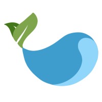 Baleena logo - Similar company to Cislune