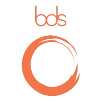 Business Development Solutions logo - Similar company to Platform X Egypt