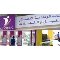 ANAPEC TAOURIRT logo - Similar company to Anapec