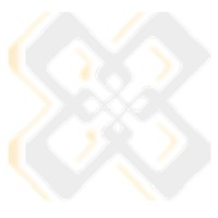 NEXION Enterprise Solutions Networks logo - Similar company to Sopris Development Llc