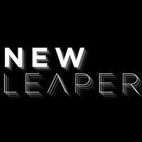 NewLeaper logo - Similar company to Techbow