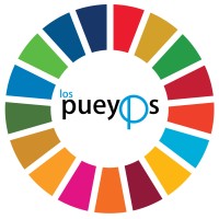 Los Pueyos logo - Similar company to Fiis