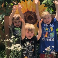 Sunflower Preschool logo - Similar company to Srsi