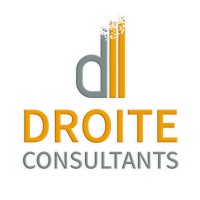 DROITE CONSULTANTS logo - Similar company to Smartfix Solution | It Consultant