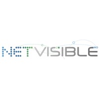 NetVisible logo - Similar company to Partikular Digital Marketing
