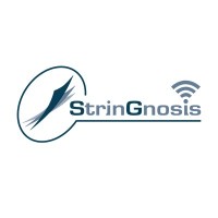 StrinGnosis® - Casing Design Software logo - Similar company to Isp - Interpretive Software Products