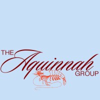 The Aquinnah Group logo - Similar company to Skip Dynamix