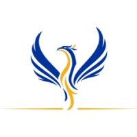 Rising Aviation Flyers logo - Similar company to Big Influence Management, Llc