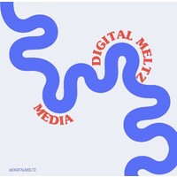 Digital Meltz Media logo - Similar company to Sweetzer Capital