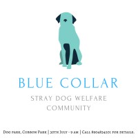 Blue Collar logo - Similar company to Blue Collar Executive