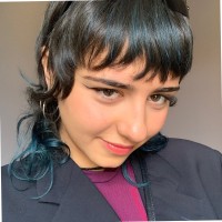 Francesca Scocco logo - Similar company to Hu'S Group