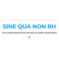 Sine Qua Non RH logo - Similar company to Sinequanon