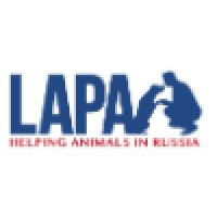 Lapa (Helping Animals In Russia)