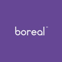 BOREAL MARKETING DIGITAL logo - Similar company to Buzz Marketing