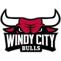Windy City Bulls logo - Similar company to Chicago Storm