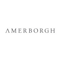 Amerborgh International N.V. logo - Similar company to Payingit