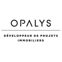 OPALYS Project SA logo - Similar company to Immocep