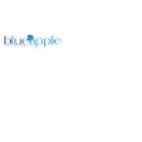 Blue Apple Technolabs Pvt Ltd