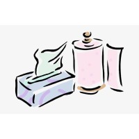 Tissue Paper Company logo - Similar company to Mamasoft (Tissue Paper Manufacturing