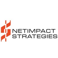 NetImpact Strategies Inc. logo - Similar company to Kwaan Technology