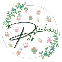 Plantes & Pots logo - Similar company to Gh Team