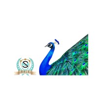 Style Mobb University Cosmetology School logo - Similar company to Cazamio